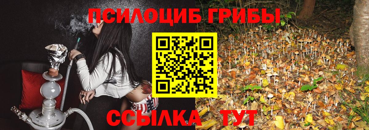Галлюциногенные грибы Cubensis  Галлюциногенные грибы прущие грибы  Брянск  Вход с VPN 