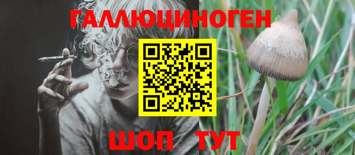 Мефедрон   Брянск  Метадон  COCAIN  Купить наркотики цена  Конопля  Вход с VPN  ГАШИШ  MDMA 